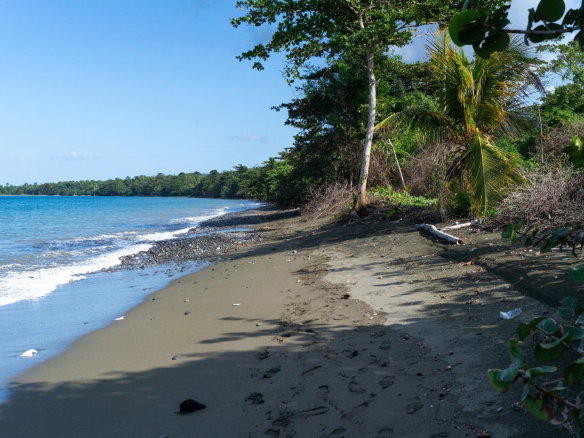 First image of Hermitage Farm in Hope Bay, Portland, Jamaica - property is For Sale