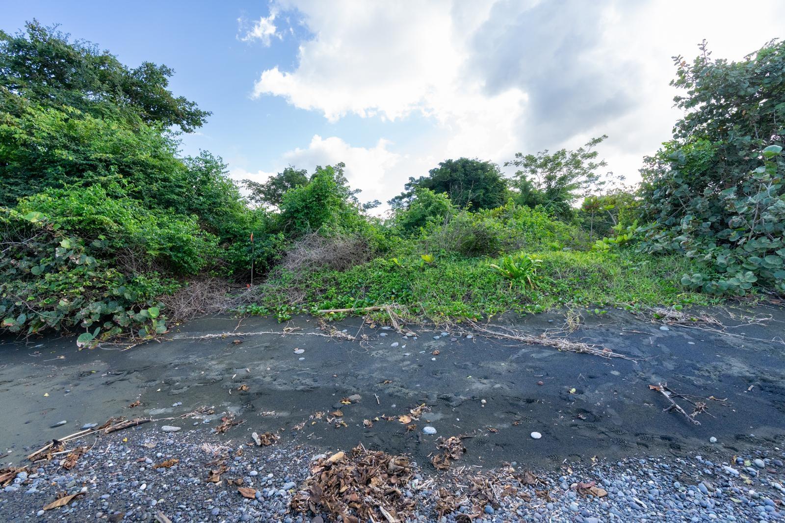 Seventh image of Hermitage Farm in Hope Bay, Portland, Jamaica - property is For Sale