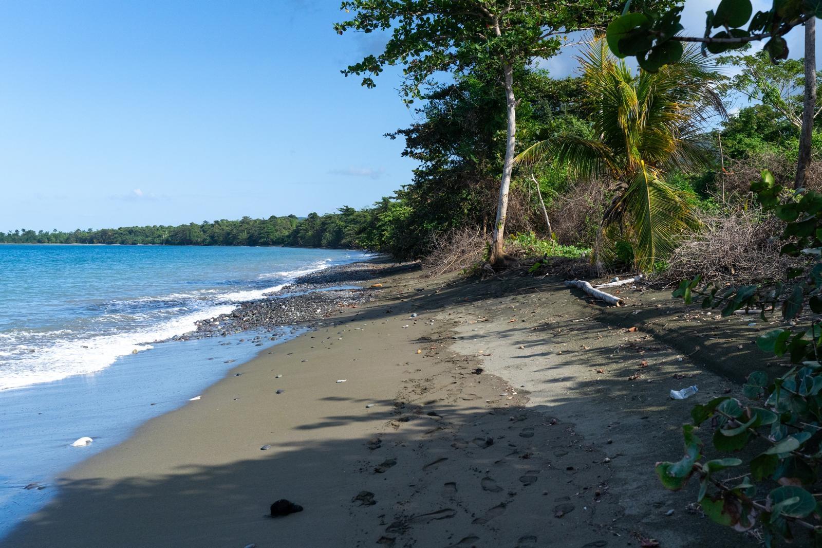 First image of Hermitage Farm in Hope Bay, Portland, Jamaica - property is For Sale