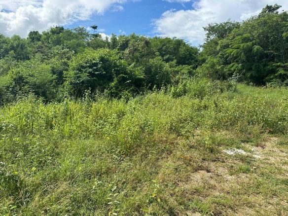 First image of Fort Augusta Drive in Port Henderson, St. Catherine, Jamaica - property is For Sale