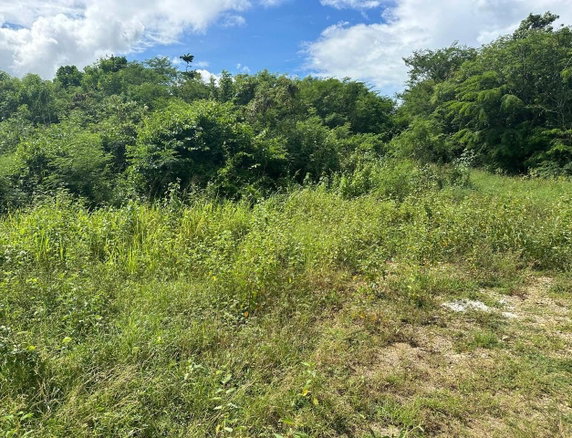 First image of Fort Augusta Drive in Port Henderson, St. Catherine, Jamaica - property is For Sale