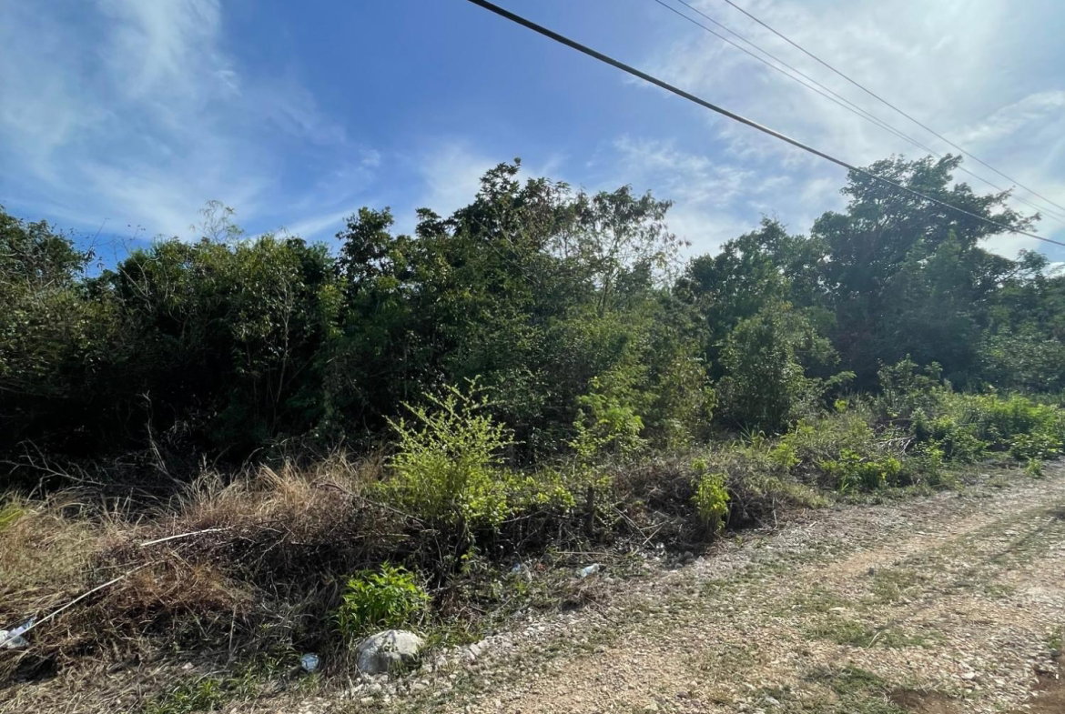 Second image of 43 Top Halse Hall in Hayes, Clarendon, Jamaica - property is For Sale