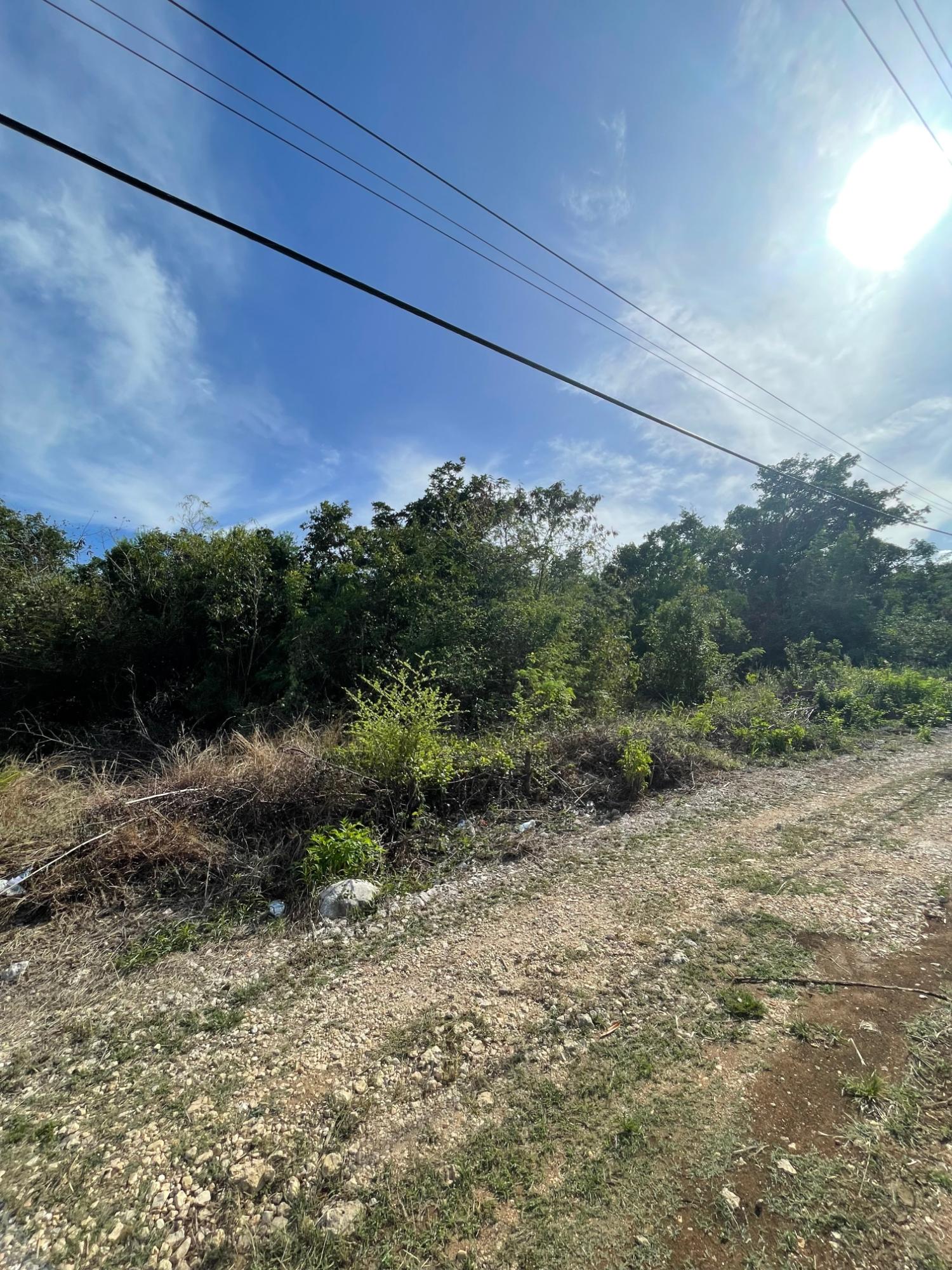 Prime-Development-Land-for-Sale-in-Clarendon-Jamaica-3-Acres Second image of 43 Top Halse Hall in Hayes, Clarendon, Jamaica - property is For Sale