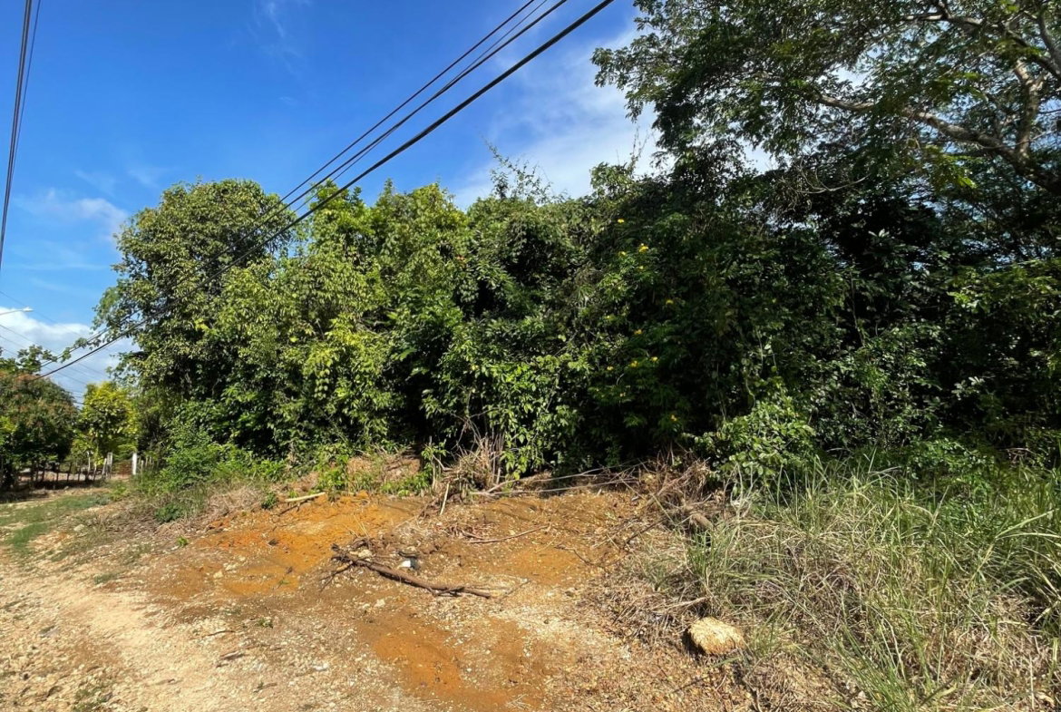Eleventh image of 43 Top Halse Hall in Hayes, Clarendon, Jamaica - property is For Sale