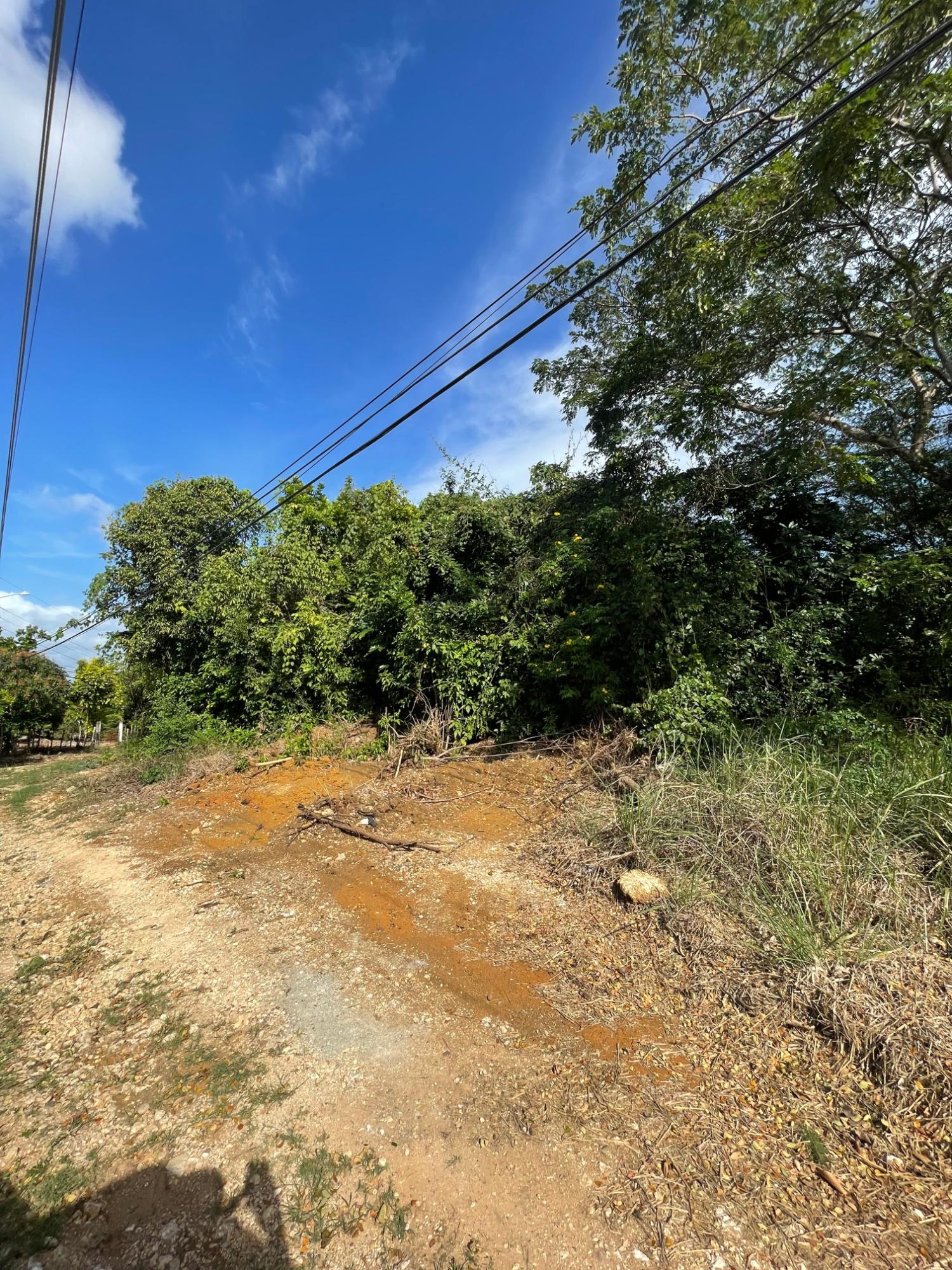 Prime-Development-Land-for-Sale-in-Clarendon-Jamaica-3-Acres Eleventh image of 43 Top Halse Hall in Hayes, Clarendon, Jamaica - property is For Sale