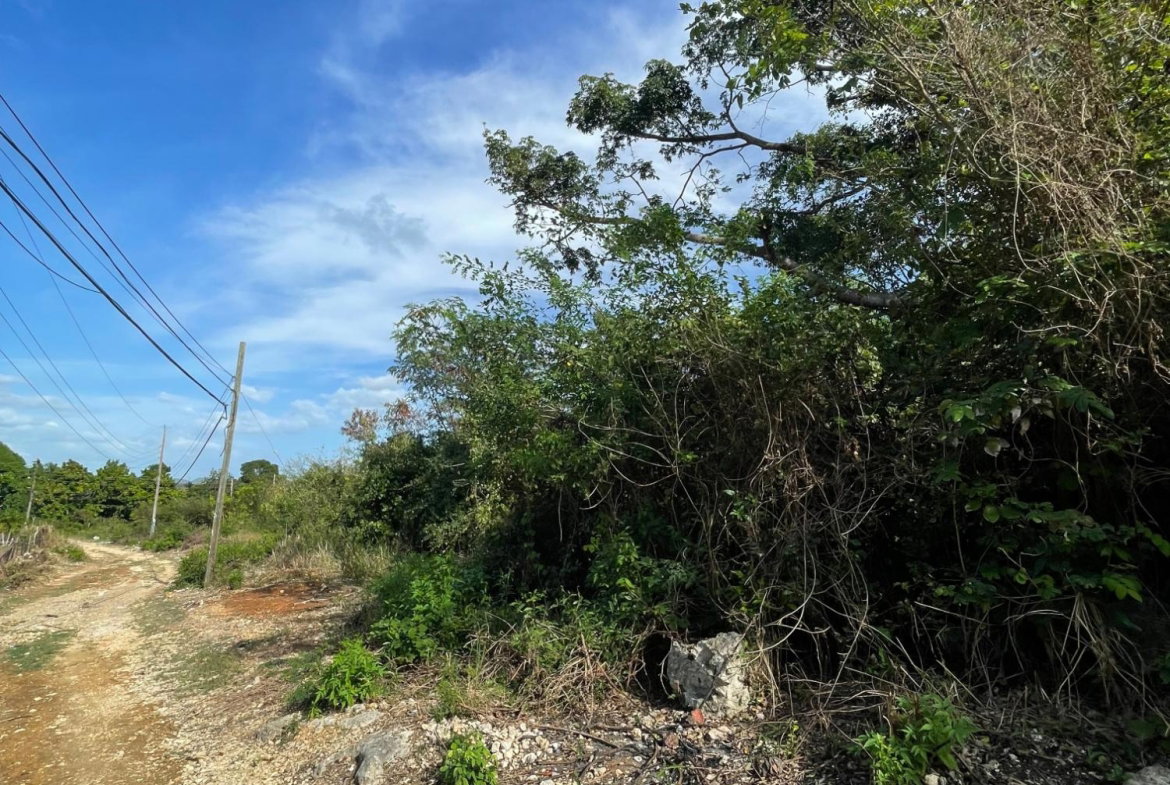 Twelfth image of 43 Top Halse Hall in Hayes, Clarendon, Jamaica - property is For Sale