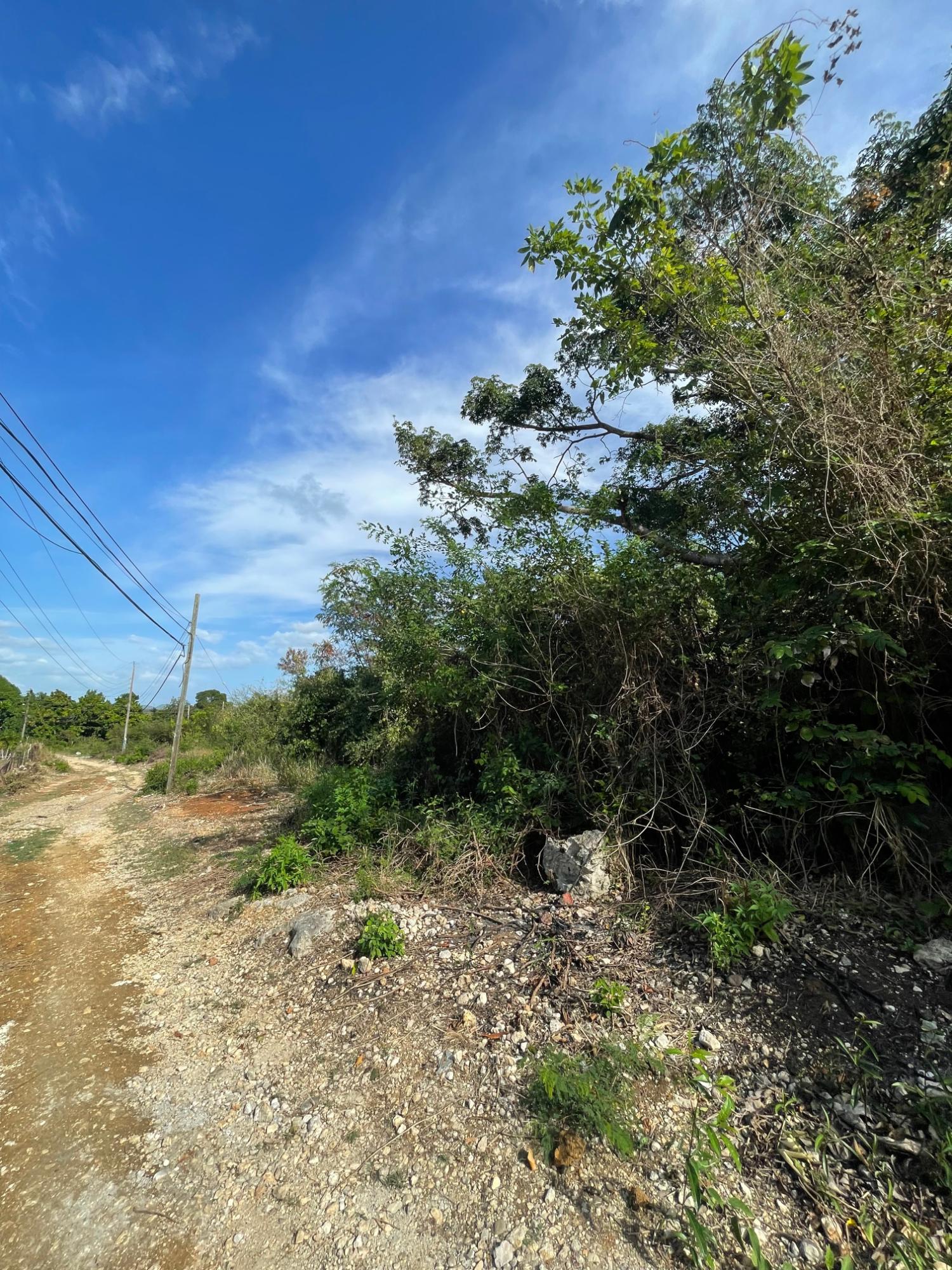 Prime-Development-Land-for-Sale-in-Clarendon-Jamaica-3-Acres Twelfth image of 43 Top Halse Hall in Hayes, Clarendon, Jamaica - property is For Sale