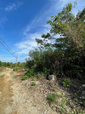 Twelfth image of 43 Top Halse Hall in Hayes, Clarendon, Jamaica - property is For Sale
