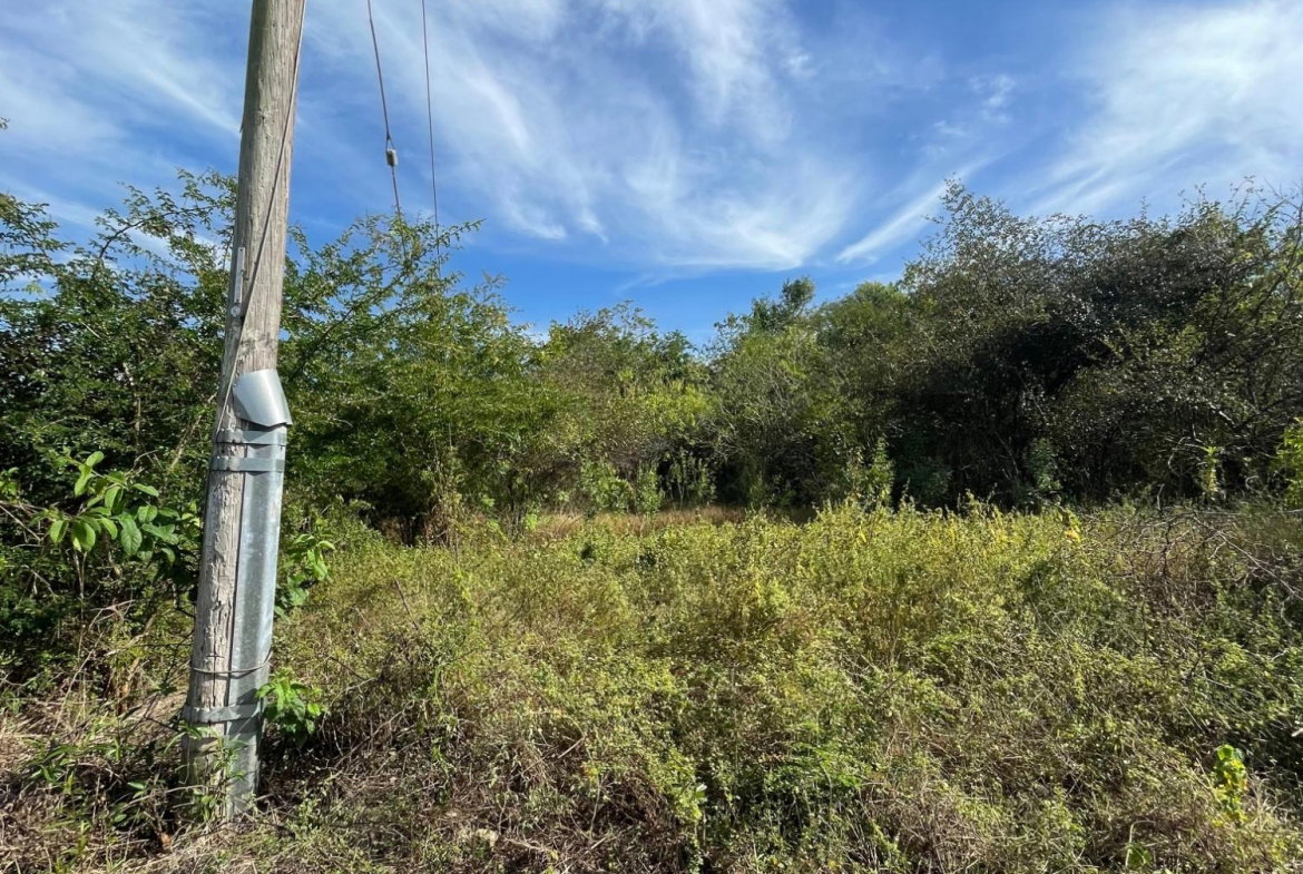 Thirteenth image of 43 Top Halse Hall in Hayes, Clarendon, Jamaica - property is For Sale