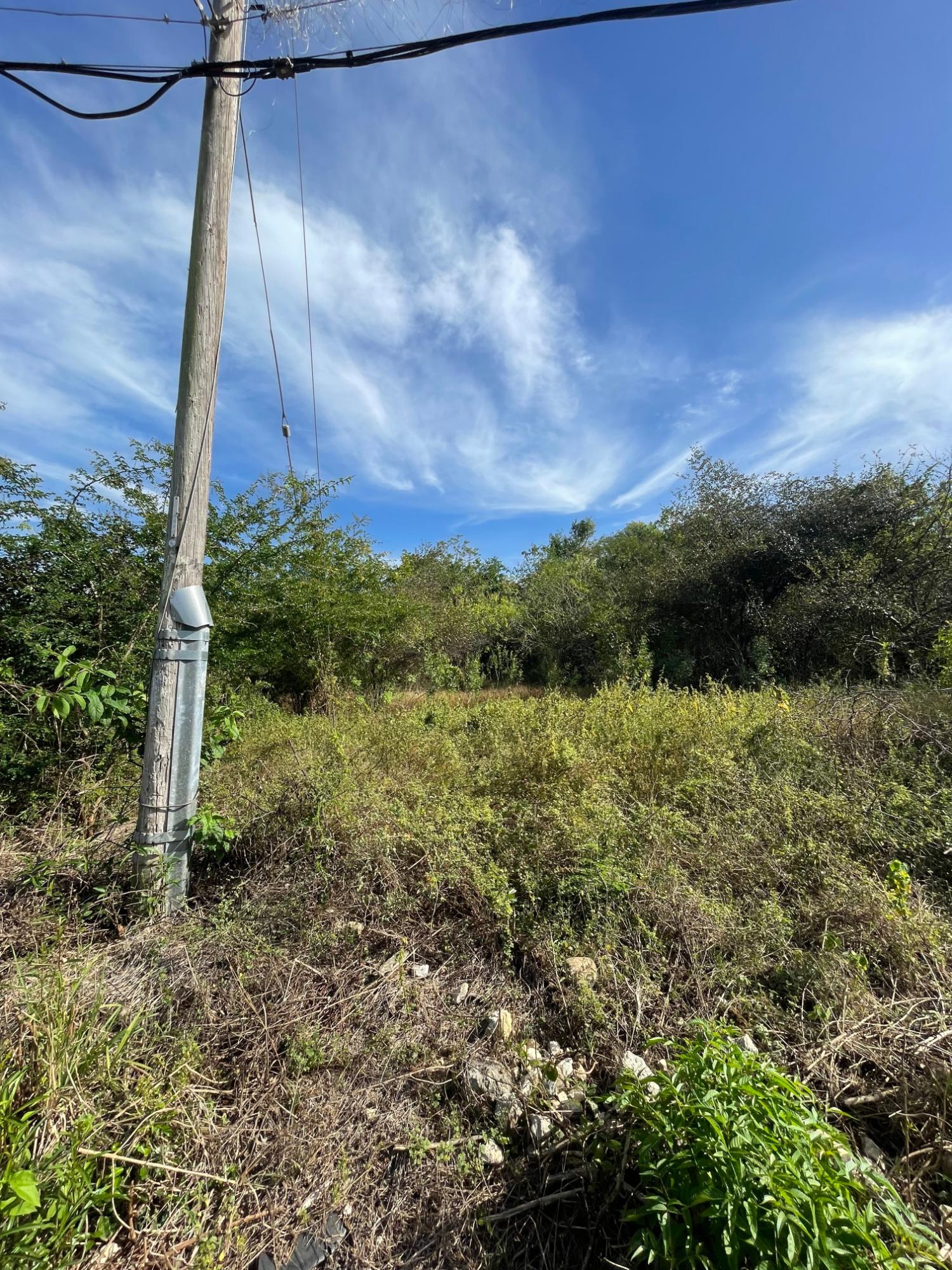 Prime-Development-Land-for-Sale-in-Clarendon-Jamaica-3-Acres Thirteenth image of 43 Top Halse Hall in Hayes, Clarendon, Jamaica - property is For Sale