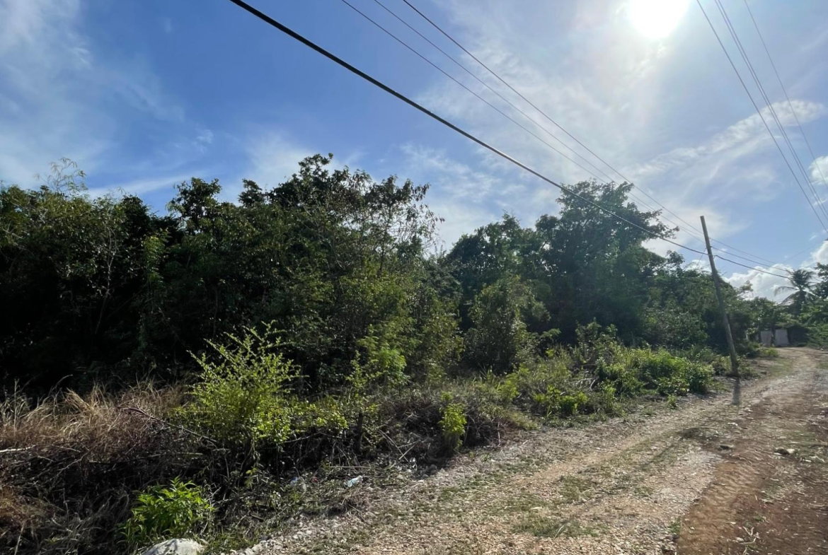 Third image of 43 Top Halse Hall in Hayes, Clarendon, Jamaica - property is For Sale