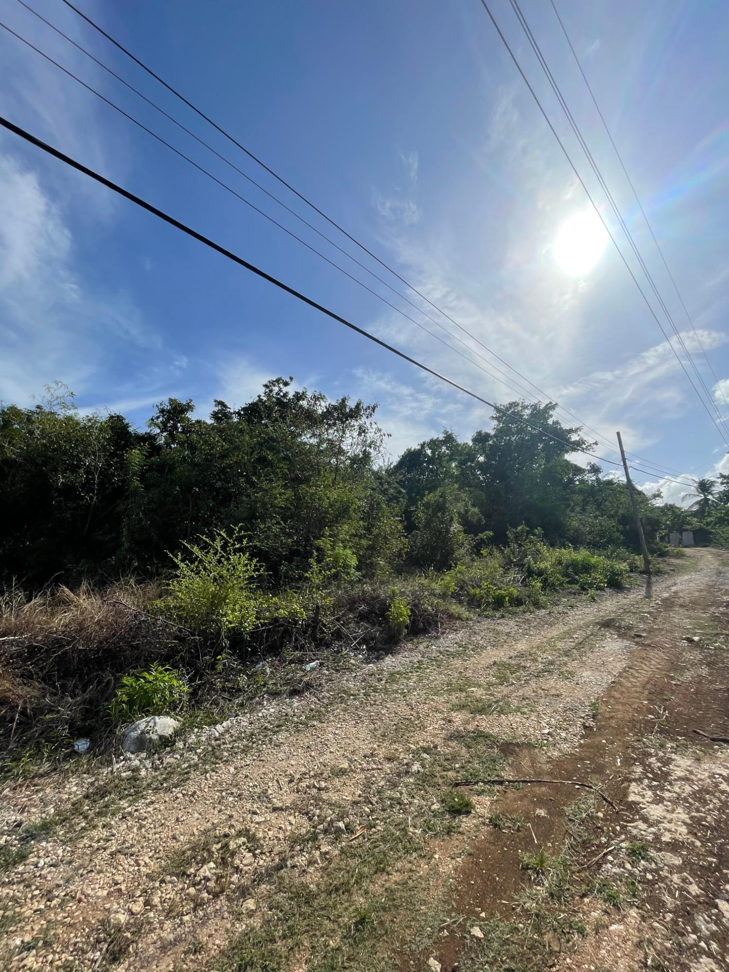 Prime-Development-Land-for-Sale-in-Clarendon-Jamaica-3-Acres Third image of 43 Top Halse Hall in Hayes, Clarendon, Jamaica - property is For Sale