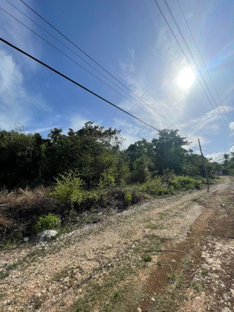 Third image of 43 Top Halse Hall in Hayes, Clarendon, Jamaica - property is For Sale