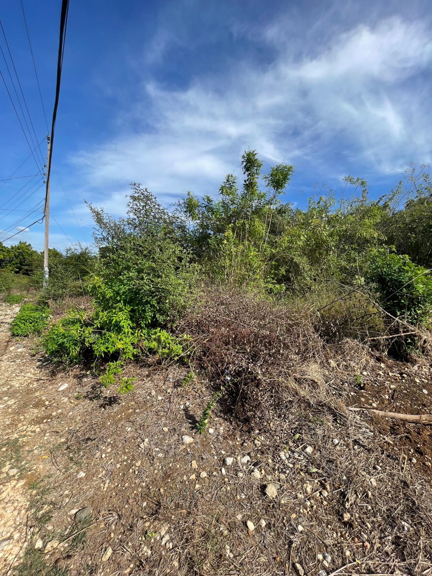 Prime-Development-Land-for-Sale-in-Clarendon-Jamaica-3-Acres Fourth image of 43 Top Halse Hall in Hayes, Clarendon, Jamaica - property is For Sale