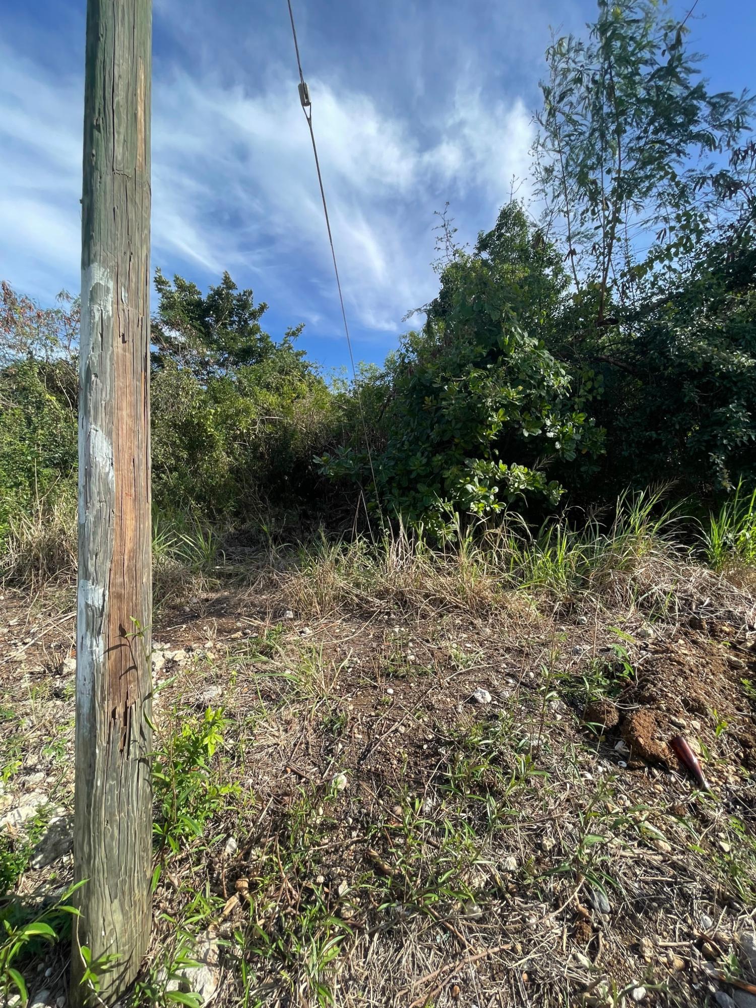 Prime-Development-Land-for-Sale-in-Clarendon-Jamaica-3-Acres Fifth image of 43 Top Halse Hall in Hayes, Clarendon, Jamaica - property is For Sale