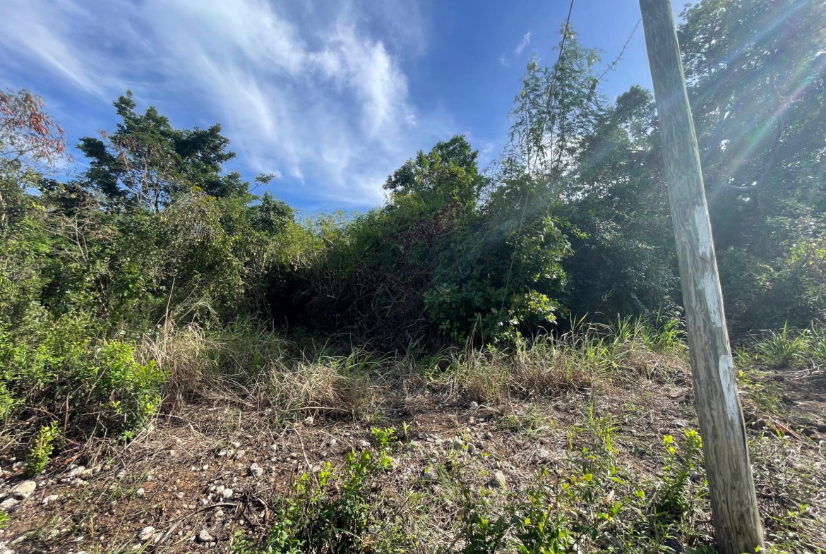 Sixth image of 43 Top Halse Hall in Hayes, Clarendon, Jamaica - property is For Sale