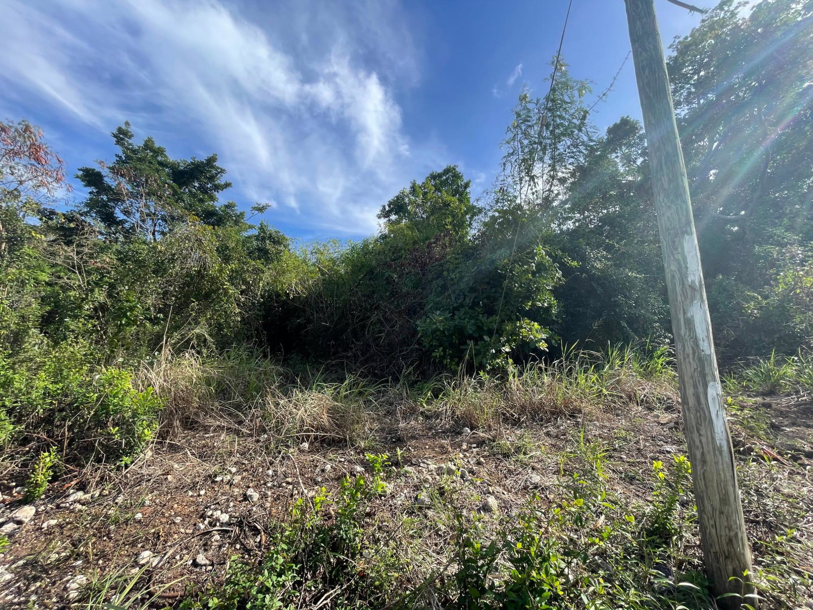 Prime-Development-Land-for-Sale-in-Clarendon-Jamaica-3-Acres Sixth image of 43 Top Halse Hall in Hayes, Clarendon, Jamaica - property is For Sale