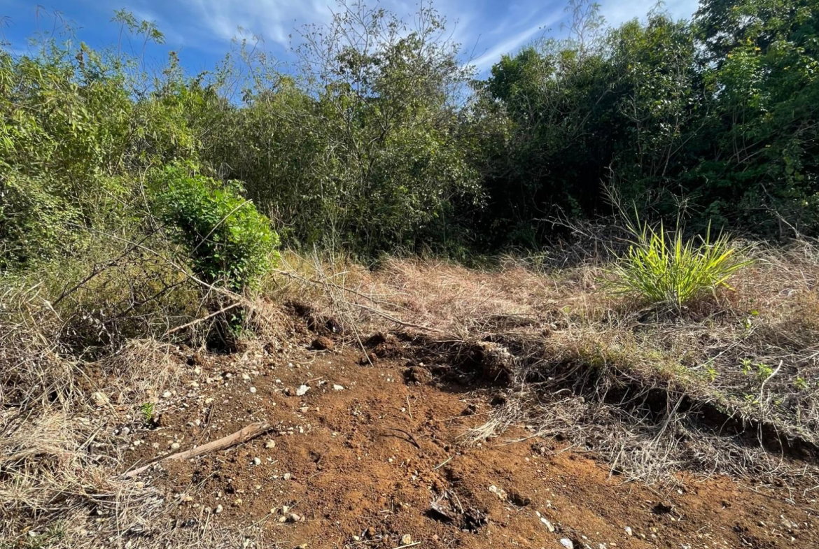 Seventh image of 43 Top Halse Hall in Hayes, Clarendon, Jamaica - property is For Sale
