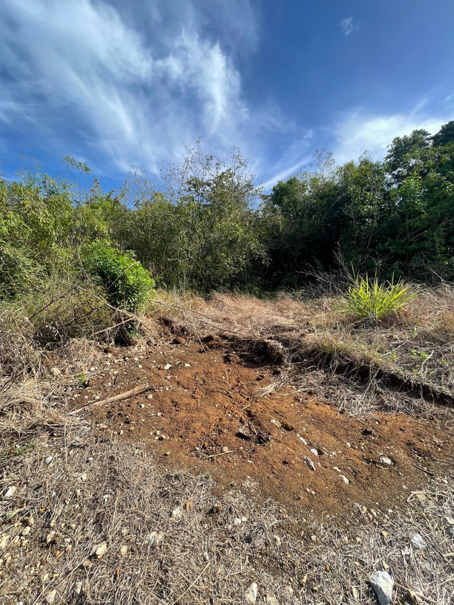 Prime-Development-Land-for-Sale-in-Clarendon-Jamaica-3-Acres Seventh image of 43 Top Halse Hall in Hayes, Clarendon, Jamaica - property is For Sale