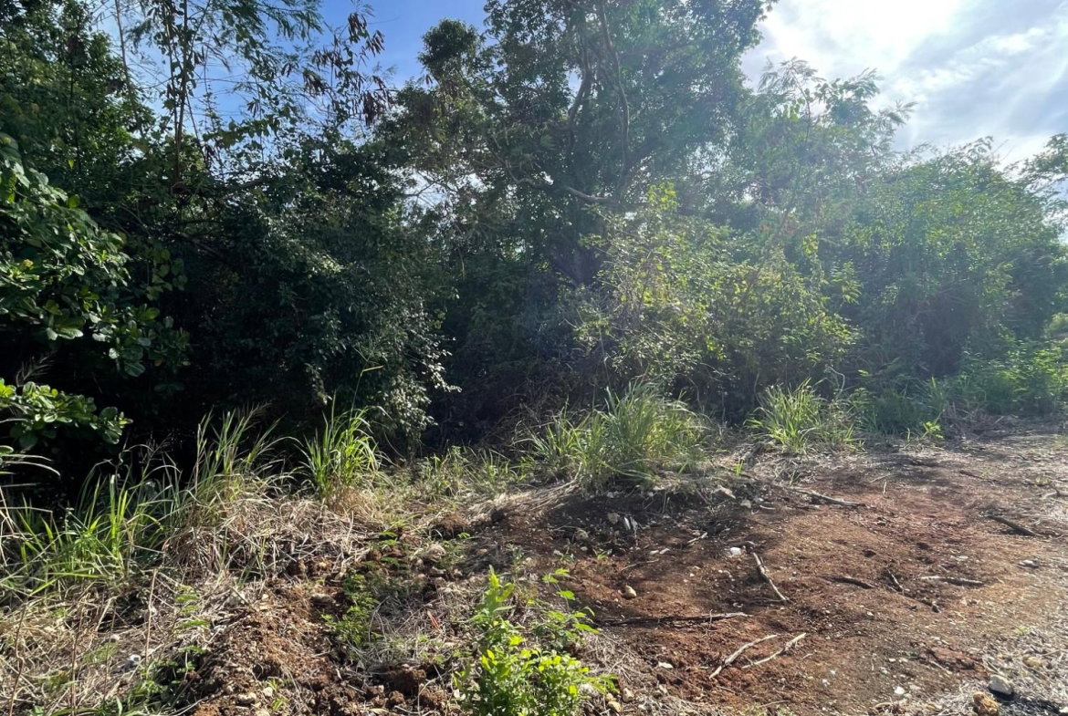 Eighth image of 43 Top Halse Hall in Hayes, Clarendon, Jamaica - property is For Sale