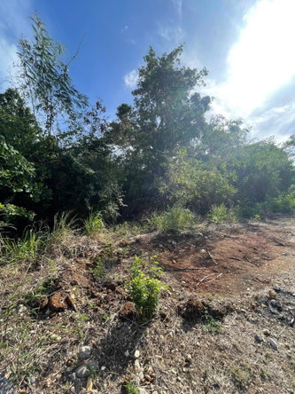 Eighth image of 43 Top Halse Hall in Hayes, Clarendon, Jamaica - property is For Sale