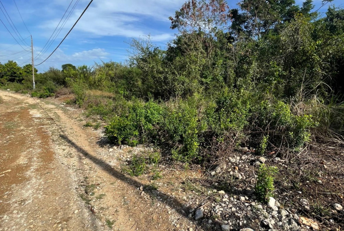Ninth image of 43 Top Halse Hall in Hayes, Clarendon, Jamaica - property is For Sale