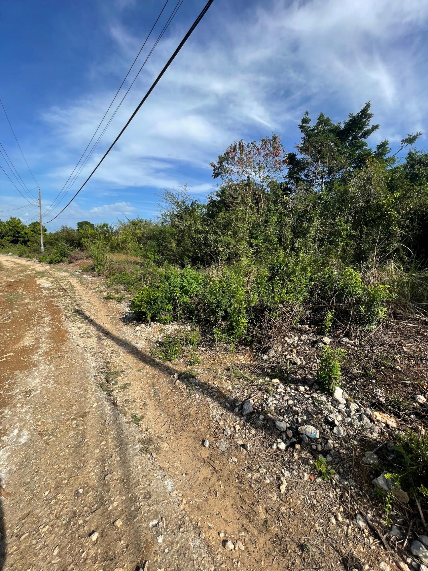 Prime-Development-Land-for-Sale-in-Clarendon-Jamaica-3-Acres Ninth image of 43 Top Halse Hall in Hayes, Clarendon, Jamaica - property is For Sale