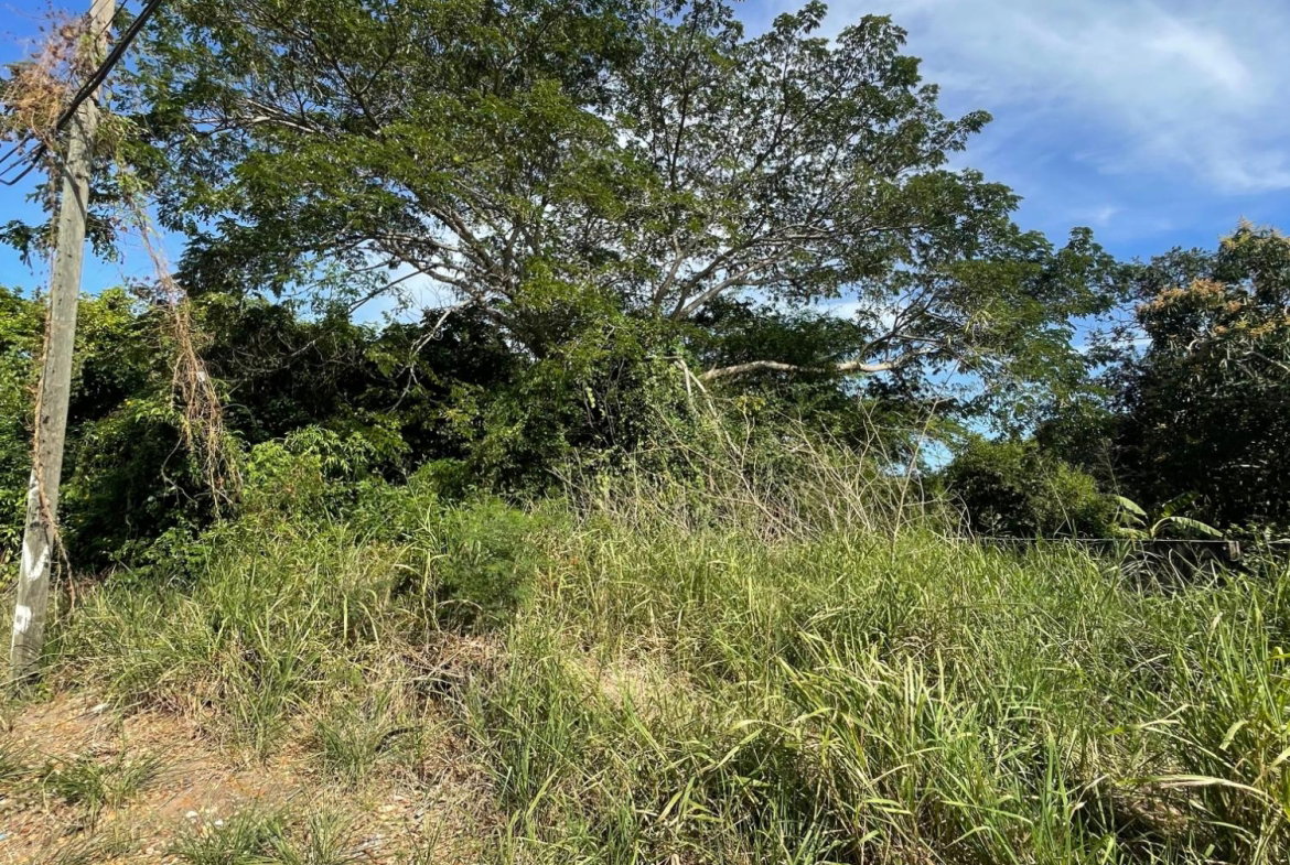 Tenth image of 43 Top Halse Hall in Hayes, Clarendon, Jamaica - property is For Sale