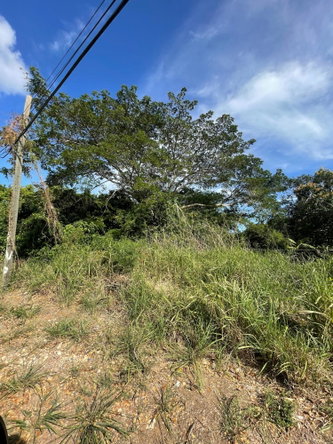 Tenth image of 43 Top Halse Hall in Hayes, Clarendon, Jamaica - property is For Sale