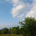 First image of Lot 17 Primrose Hill, Discovery in Discovery Bay, St. Ann, Jamaica - property is For Sale