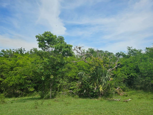 Fourth image of Friendship in Friendship, St. Elizabeth, Jamaica - property is For Sale
