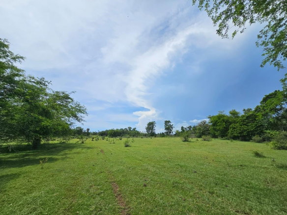 First image of Friendship in Friendship, St. Elizabeth, Jamaica - property is For Sale