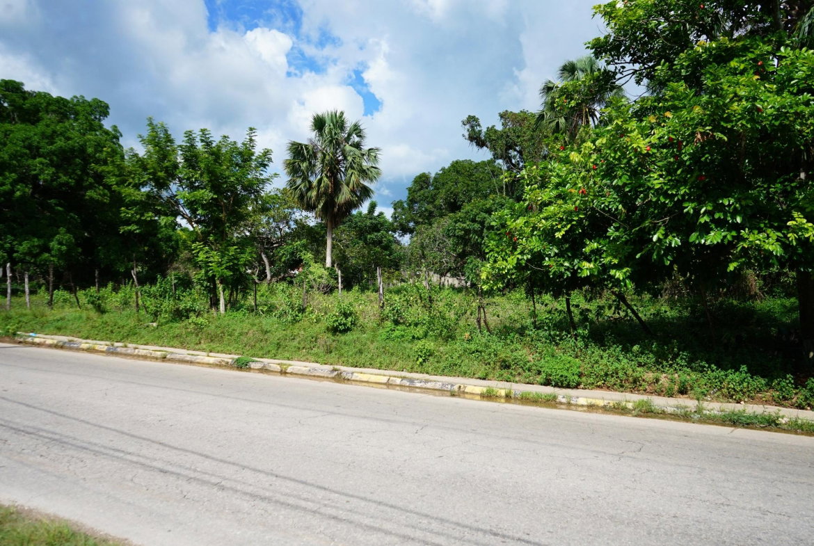 Fourth image of Main Street Lacovia in Lacovia, St. Elizabeth, Jamaica - property is For Sale