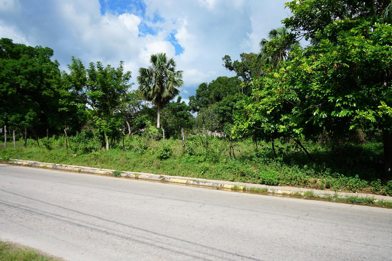 Fourth image of Main Street Lacovia in Lacovia, St. Elizabeth, Jamaica - property is For Sale