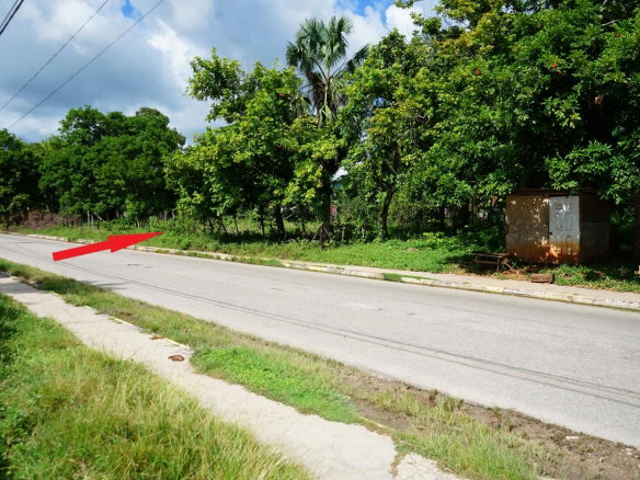 First image of Main Street Lacovia in Lacovia, St. Elizabeth, Jamaica - property is For Sale