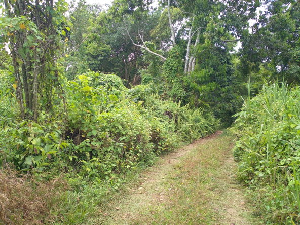 Eighth image of Mango Valley in Boscobel, St. Mary, Jamaica - property is For Sale
