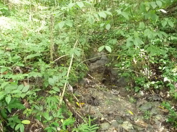 Tenth image of Mango Valley in Boscobel, St. Mary, Jamaica - property is For Sale