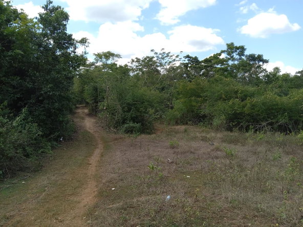 Sixth image of Lot 43- Phantiland, Goshen, st el in Goshen, St. Elizabeth, Jamaica - property is For Sale