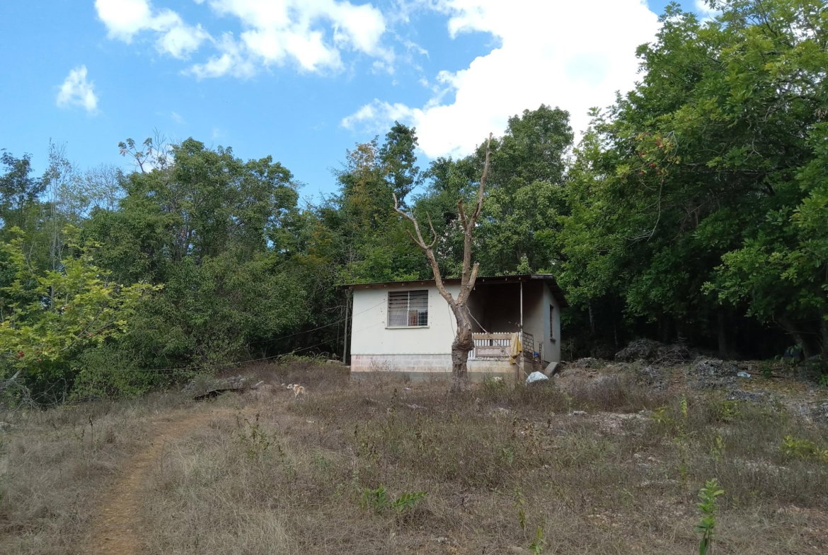 Seventh image of Lot 43- Phantiland, Goshen, st el in Goshen, St. Elizabeth, Jamaica - property is For Sale