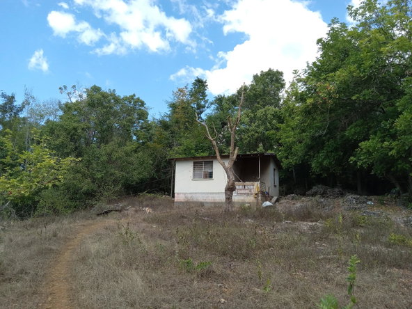 Seventh image of Lot 43- Phantiland, Goshen, st el in Goshen, St. Elizabeth, Jamaica - property is For Sale