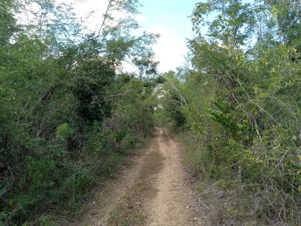 Eighth image of Lot 43- Phantiland, Goshen, st el in Goshen, St. Elizabeth, Jamaica - property is For Sale