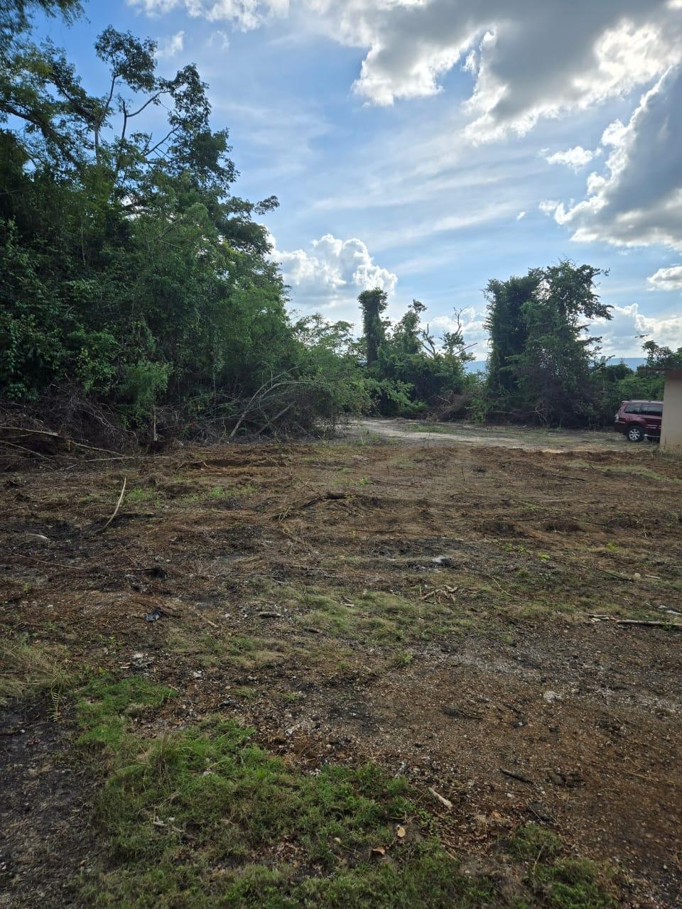 Prime-Development-Land-for-Sale-in-St.-Elizabeth-Jamaica Fourth image of Cemetery Road in Goshen, St. Elizabeth, Jamaica - property is For Sale