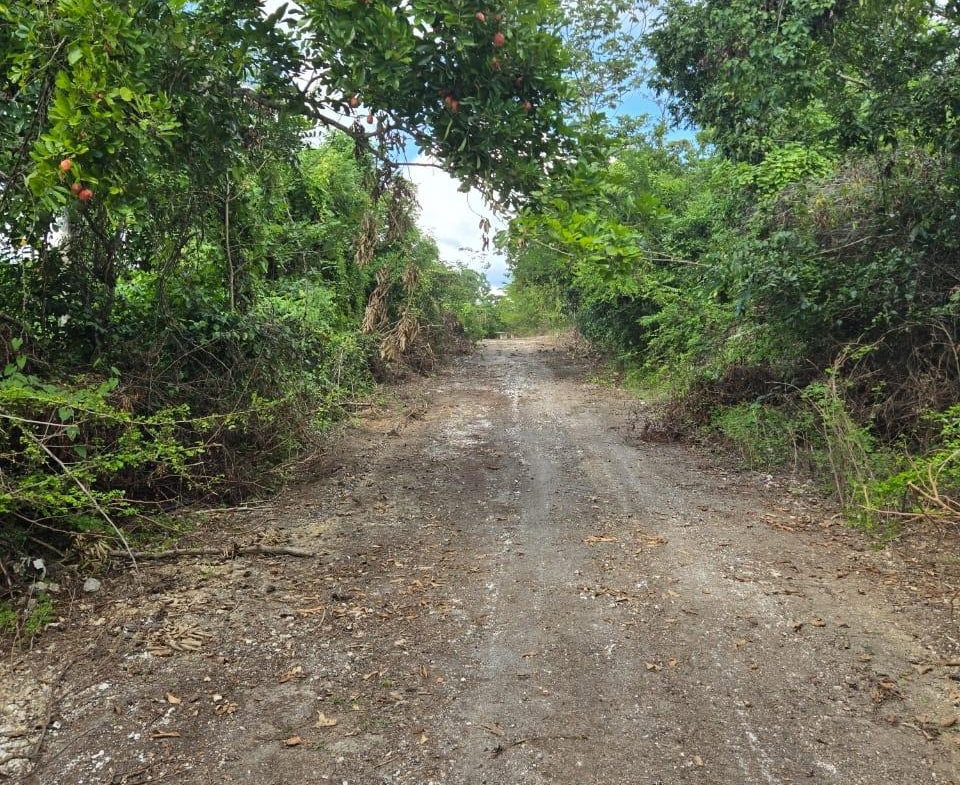 Fifth image of Cemetery Road in Goshen, St. Elizabeth, Jamaica - property is For Sale
