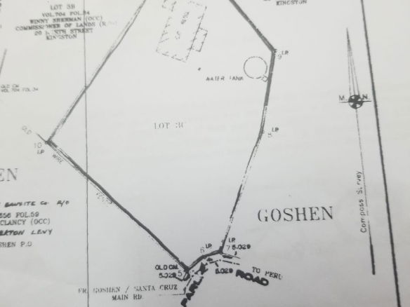 First image of Cemetery Road in Goshen, St. Elizabeth, Jamaica - property is For Sale