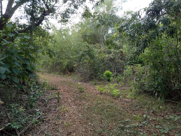 Second image of Lot 43- Phantiland, Goshen, st el in Goshen, St. Elizabeth, Jamaica - property is For Sale