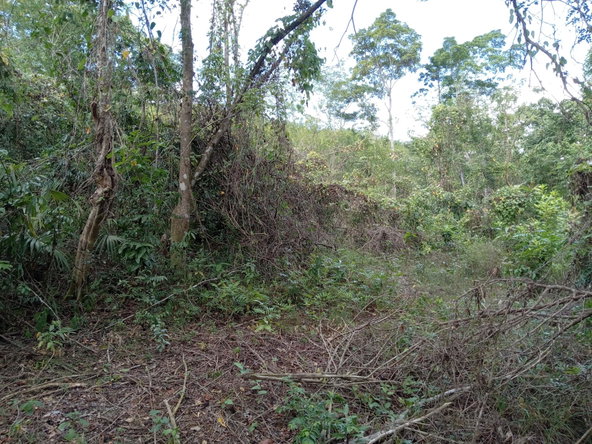 Third image of Lot 43- Phantiland, Goshen, st el in Goshen, St. Elizabeth, Jamaica - property is For Sale