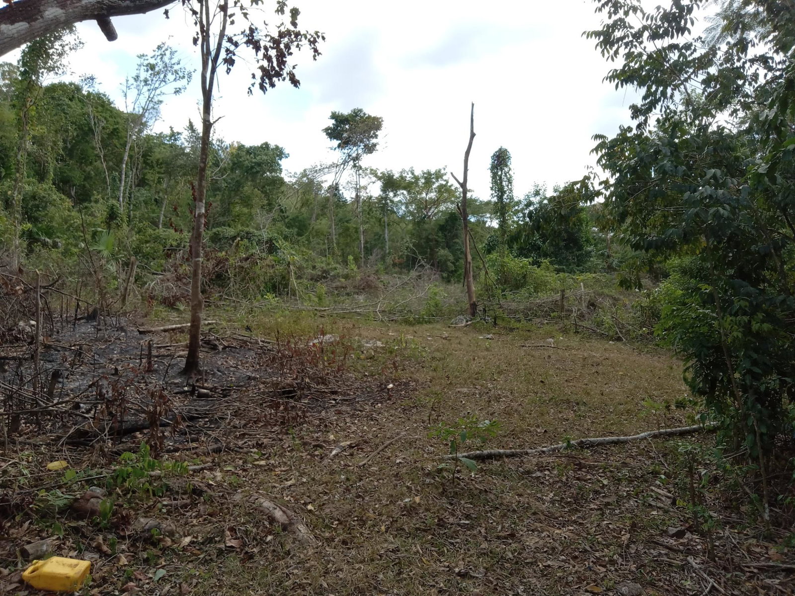 Fifth image of Lot 43- Phantiland, Goshen, st el in Goshen, St. Elizabeth, Jamaica - property is For Sale