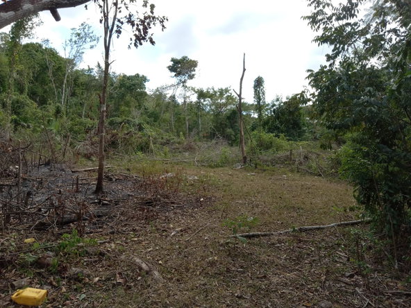 Fifth image of Lot 43- Phantiland, Goshen, st el in Goshen, St. Elizabeth, Jamaica - property is For Sale