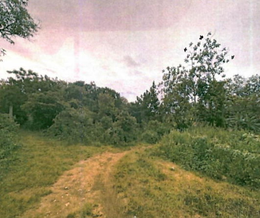 Fifth image of Smooth Land in Leeds, St. Elizabeth, Jamaica - property is For Sale