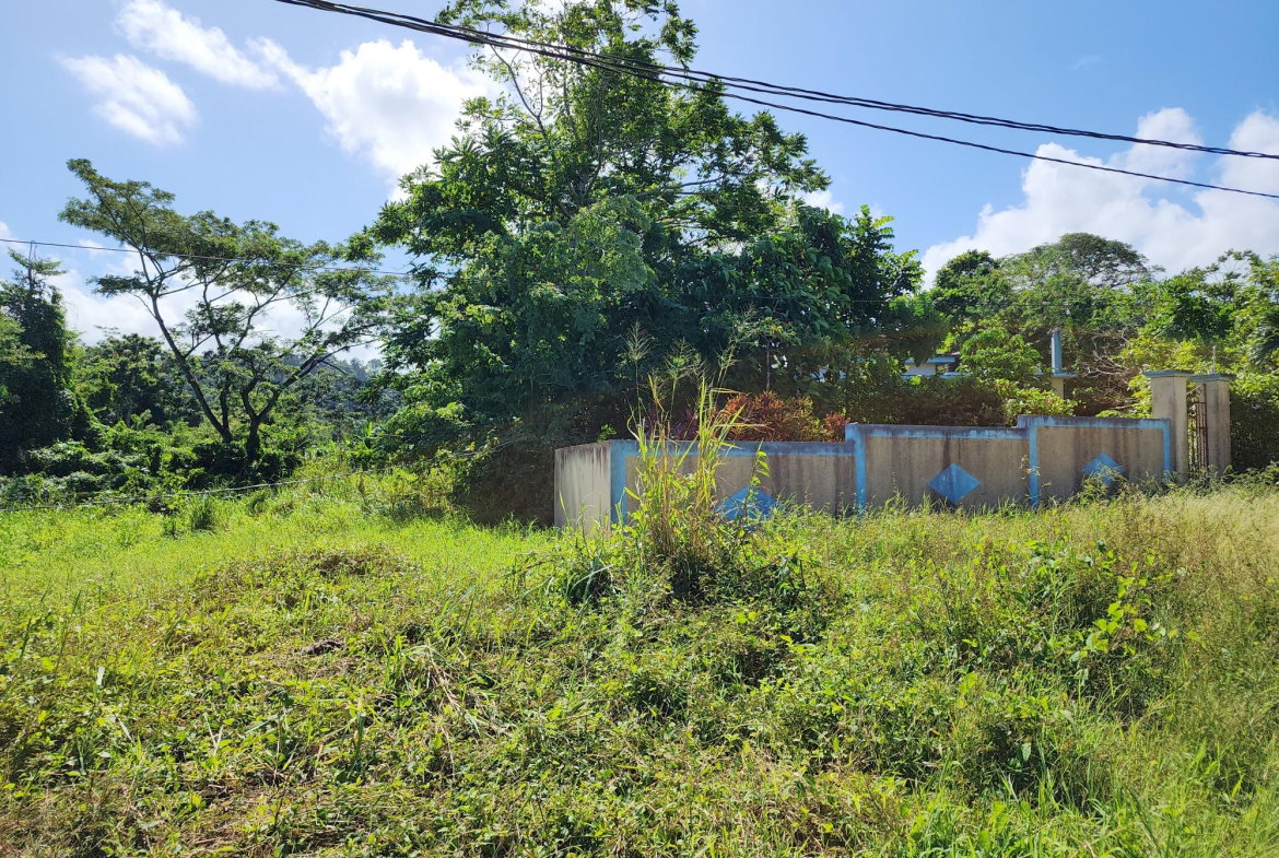 First image of Lot 14 Haughton Court in Lucea, Hanover, Jamaica - property is For Sale